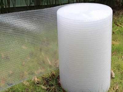 亳州气泡膜价格